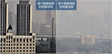 淺析?？低曂胳F技術及其技術服務